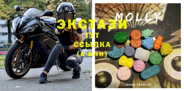 спиды Ельня