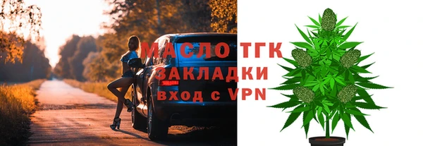 спиды Ельня