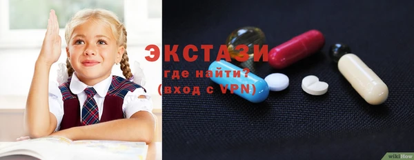 спиды Ельня