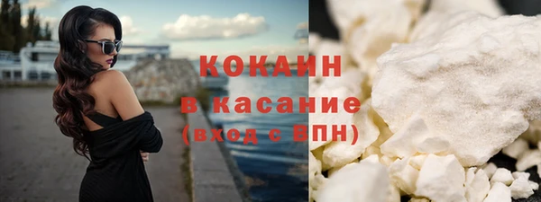 спиды Ельня