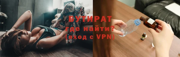 спиды Ельня