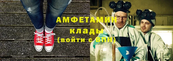 спиды Ельня