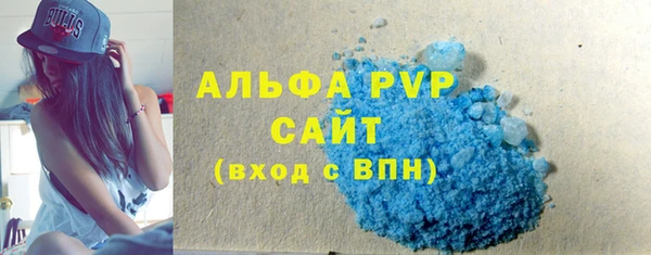 спиды Ельня
