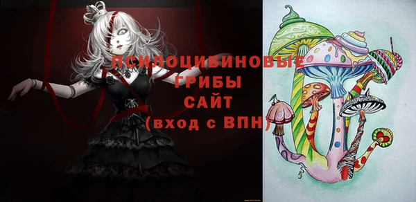 спиды Ельня