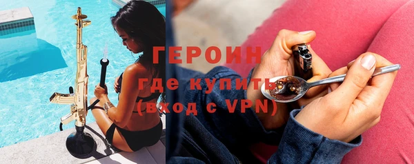 спиды Ельня