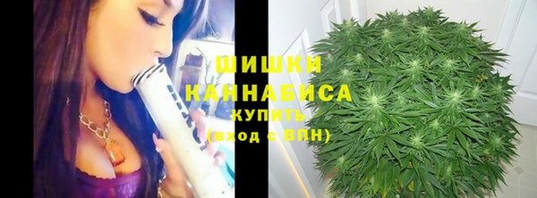 спиды Ельня