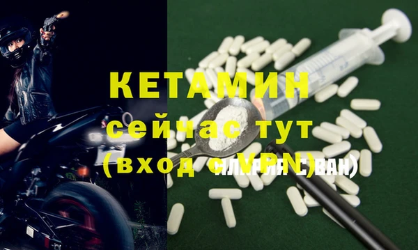 спиды Ельня