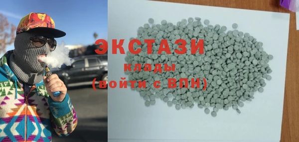 спиды Ельня