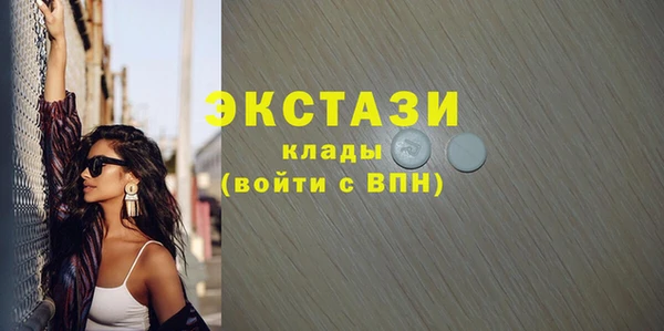 спиды Ельня