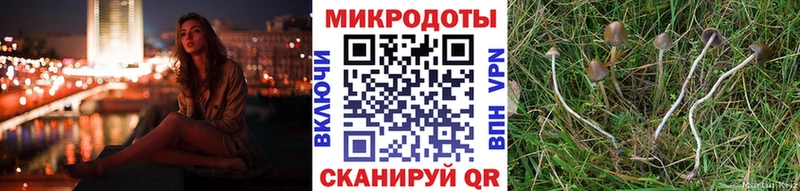 Псилоцибиновые грибы мухоморы  Светогорск 